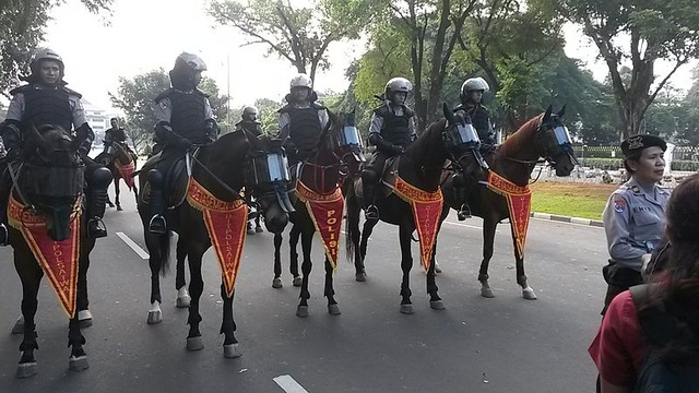 Các đội cảnh sát kỵ binh trên thế giới - Ảnh minh hoạ 2
