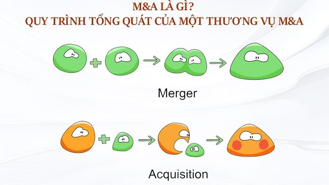 Người nước ngoài thâu tóm đất: Ẩn họa từ MA - 1