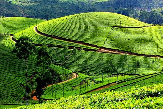 “Phao cứu sinh” cho ngành du lịch sau đại dịch Covid-19 - 2 “Phao cứu sinh” cho ngành du lịch sau đại dịch Covid-19 - 2