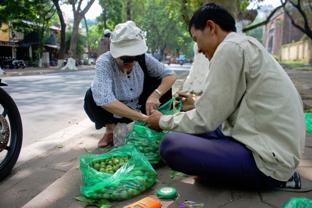 Thợ trèo sấu Hà thành thu nhập trăm triệu mỗi vụ - 1