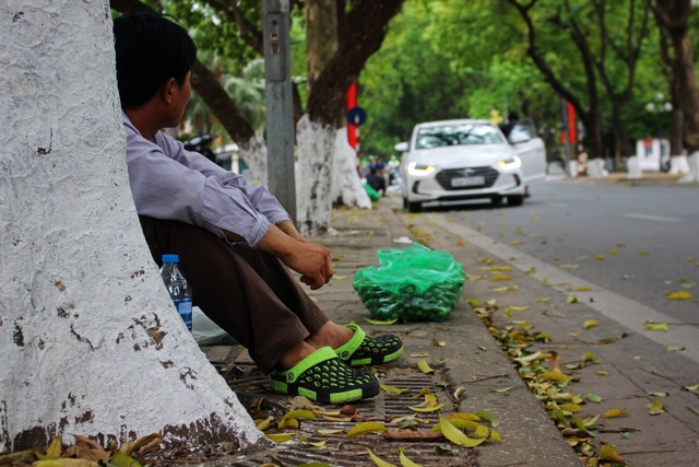 Thợ trèo sấu Hà thành thu nhập trăm triệu mỗi vụ - 5