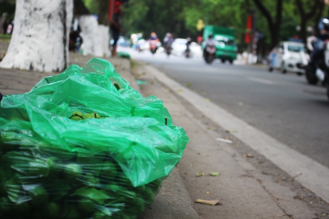 Thợ trèo sấu Hà thành thu nhập trăm triệu mỗi vụ - 6