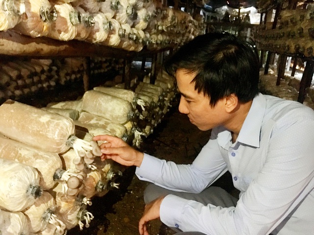 Bỏ việc nhà nước, vợ chồng về quê trồng nấm lãi cả trăm triệu/năm - 1 Bỏ việc nhà nước, vợ chồng về quê trồng nấm lãi cả trăm triệu/năm - 1