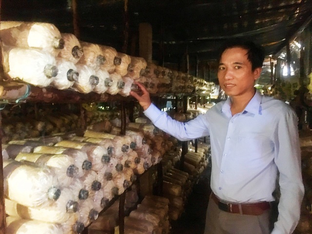 Bỏ việc nhà nước, vợ chồng về quê trồng nấm lãi cả trăm triệu/năm - 4 Bỏ việc nhà nước, vợ chồng về quê trồng nấm lãi cả trăm triệu/năm - 4