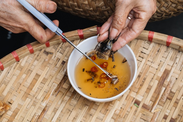 Cà cuống 5 triệu đồng/kg, đại gia sùng sục săn lùng mua về ngâm mắm - 2 Cà cuống 5 triệu đồng/kg, đại gia sùng sục săn lùng mua về ngâm mắm - 2