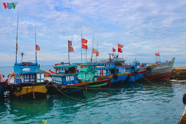 Khám phá đảo Lý Sơn - thiên đường biển xanh của Quảng Ngãi - 21 Khám phá đảo Lý Sơn - thiên đường biển xanh của Quảng Ngãi - 21