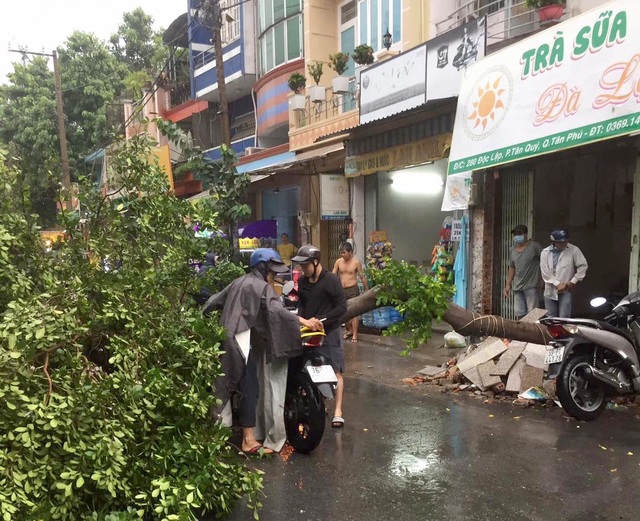 Cây đổ đè chết người, nước bủa vây trong cơn mưa tầm tã - 3 Cây đổ đè chết người, nước bủa vây trong cơn mưa tầm tã - 3