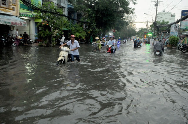 Cây đổ đè chết người, nước bủa vây trong cơn mưa tầm tã - 5 Cây đổ đè chết người, nước bủa vây trong cơn mưa tầm tã - 5