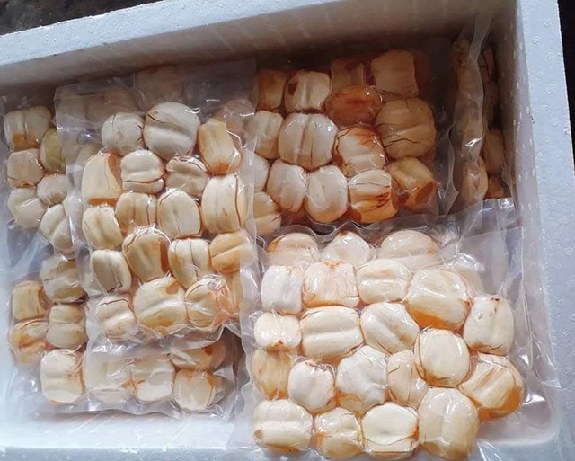Loại hạt trong veo giải nhiệt, ngày bán 1 tạ thu chục triệu đồng - 3 Loại hạt trong veo giải nhiệt, ngày bán 1 tạ thu chục triệu đồng - 3