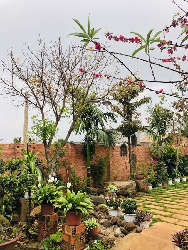 Nhà vườn 390 triệu đồng của con trai xây tặng mẹ dưỡng già ở Đắk Nông - 4 Nhà vườn 390 triệu đồng của con trai xây tặng mẹ dưỡng già ở Đắk Nông - 4