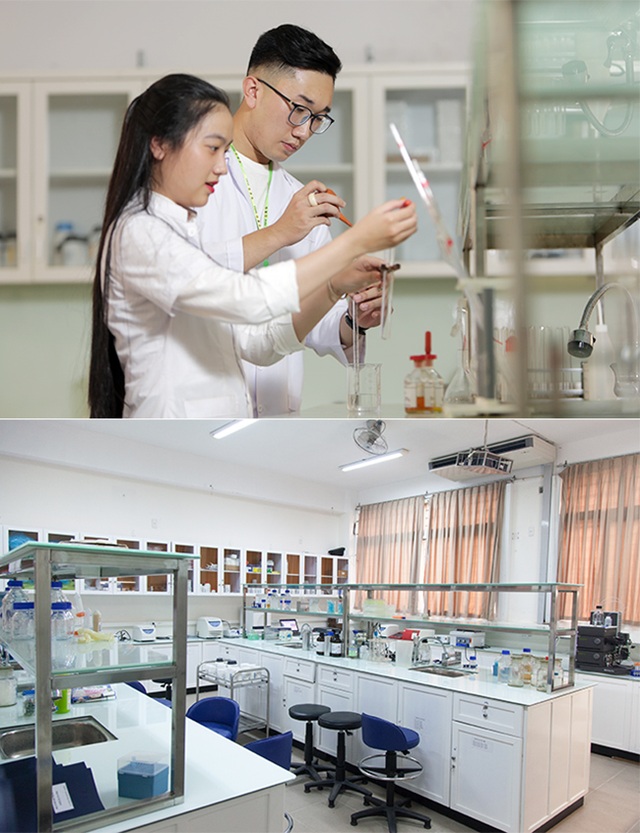Đào tạo nhân lực ngành môi trường, sinh học và thực phẩm ở ĐH Duy Tân - 2