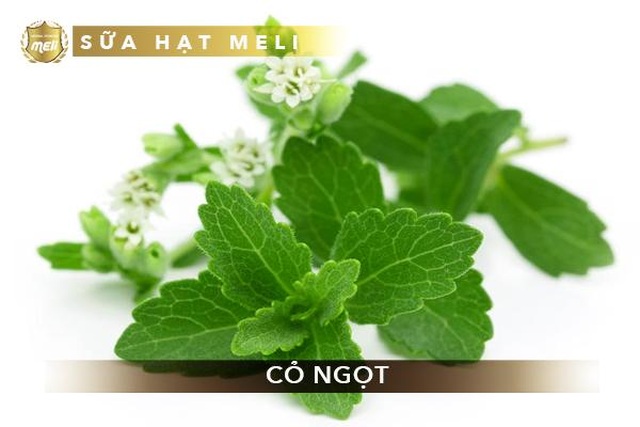Sữa hạt Herbal Meli - Sự kết hợp hoàn hảo giữa hạt, ngũ cốc và thảo dược - 3 Sữa hạt Herbal Meli - Sự kết hợp hoàn hảo giữa hạt, ngũ cốc và thảo dược - 3