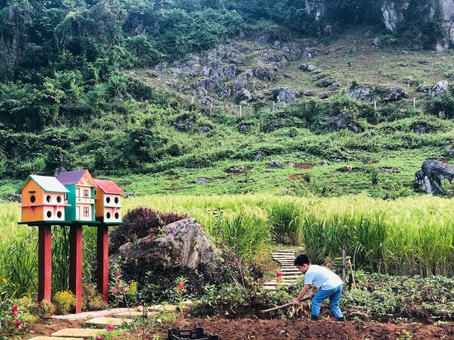 Cặp vợ chồng Hà Nội dành 4 năm cải tạo mảnh đất hoang và cái kết bất ngờ - 8 Cặp vợ chồng Hà Nội dành 4 năm cải tạo mảnh đất hoang và cái kết bất ngờ - 8