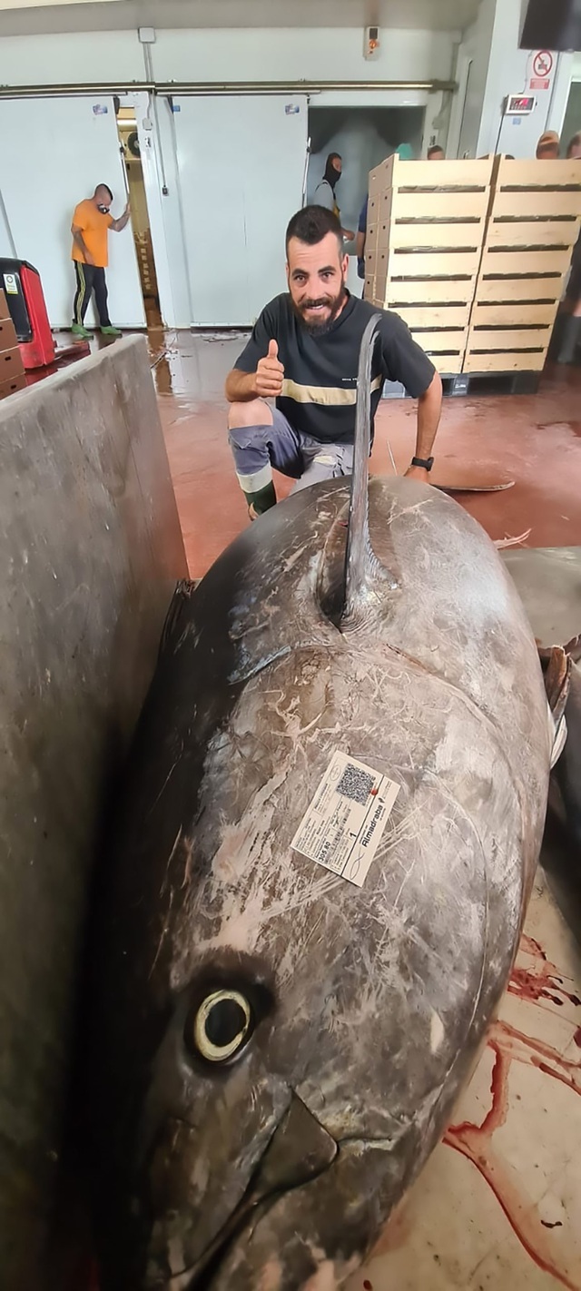 Bắt được cá trắm khổng lồ nặng hơn 50kg to bằng người trưởng thành - 3 Bắt được cá trắm khổng lồ nặng hơn 50kg to bằng người trưởng thành - 3