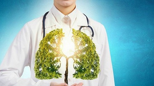BoniDetox – Bí kíp vàng hỗ trợ giải độc phổi và giảm nguy cơ u bướu phổi của Mỹ - 4 BoniDetox – Bí kíp vàng hỗ trợ giải độc phổi và giảm nguy cơ u bướu phổi của Mỹ - 4
