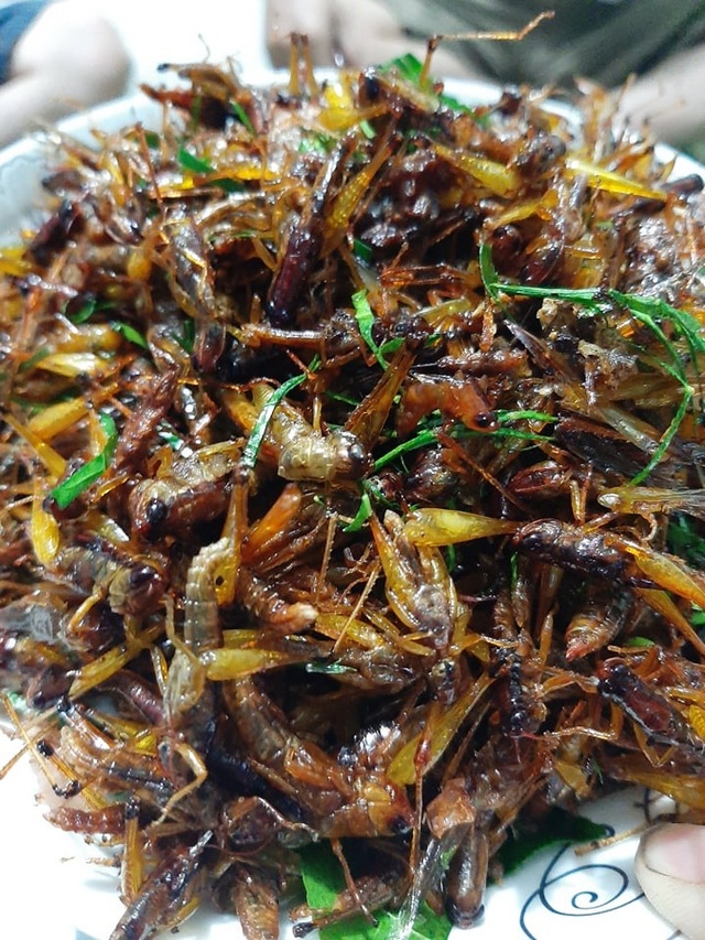 “Tôm bay” giá 250.000 đồng/kg được săn lùng, dân buôn bán cả tạ mỗi ngày - 1 “Tôm bay” giá 250.000 đồng/kg được săn lùng, dân buôn bán cả tạ mỗi ngày - 1