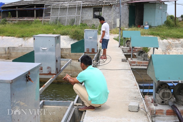 Một nông dân thu lợi 1 tỷ đồng/năm nhờ áp dụng công nghệ sông trong ao - 3 Một nông dân thu lợi 1 tỷ đồng/năm nhờ áp dụng công nghệ sông trong ao - 3