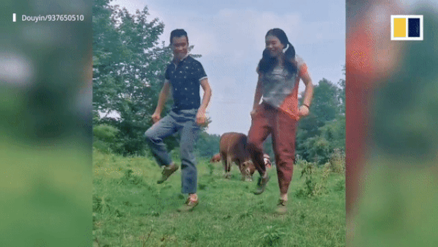 Video vợ chồng nông dân nhảy múa trước khi làm đồng, thu hút triệu lượt xem - 2 Video vợ chồng nông dân nhảy múa trước khi làm đồng, thu hút triệu lượt xem - 2