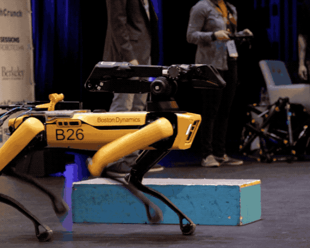 Chó robot chuẩn Mỹ được bán với giá gần 2 tỷ đồng - 2 Chó robot chuẩn Mỹ được bán với giá gần 2 tỷ đồng - 2
