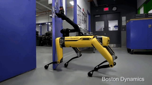 Chó robot chuẩn Mỹ được bán với giá gần 2 tỷ đồng - 4 Chó robot chuẩn Mỹ được bán với giá gần 2 tỷ đồng - 4
