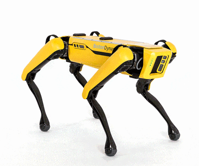 Chó robot chuẩn Mỹ được bán với giá gần 2 tỷ đồng - 1 Chó robot chuẩn Mỹ được bán với giá gần 2 tỷ đồng - 1