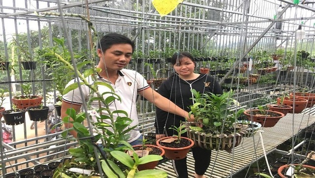 Bán cả tạ cà phê mua 1 cây lan rừng, sau 2 năm sở hữu cơ ngơi tiền tỷ - 1 Bán cả tạ cà phê mua 1 cây lan rừng, sau 2 năm sở hữu cơ ngơi tiền tỷ - 1