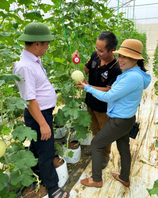 Bỏ việc về quê làm nông dân, chàng trai lãi ròng 500 triệu đồng/năm - 1