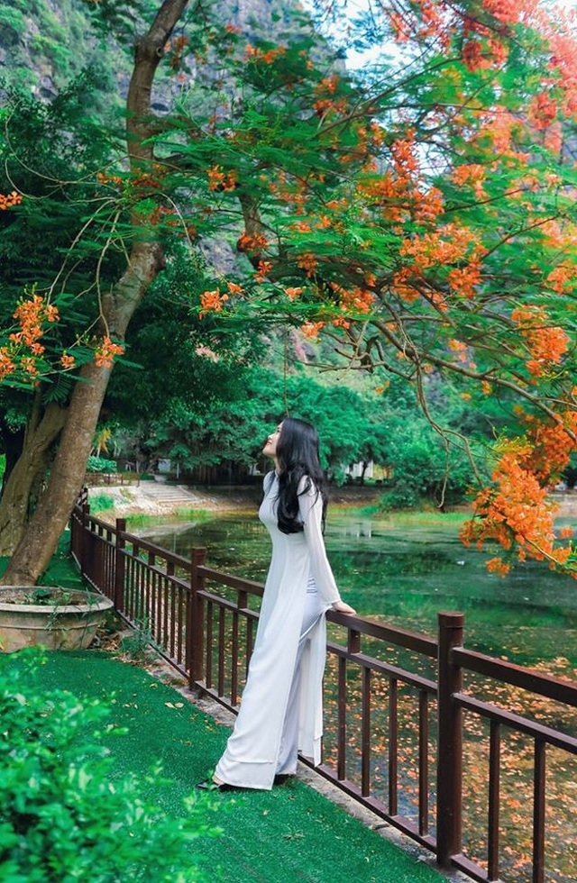 Phượng mọc giữa nhà gỗ, hồ sen nở rộ gây sốt ở “thánh địa sống ảo“ - 1 Phượng mọc giữa nhà gỗ, hồ sen nở rộ gây sốt ở “thánh địa sống ảo“ - 1
