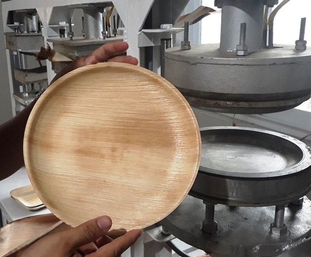 Chàng trai xứ dừa biến phế phẩm mo cau thành… tiền - 3 Chàng trai xứ dừa biến phế phẩm mo cau thành… tiền - 3