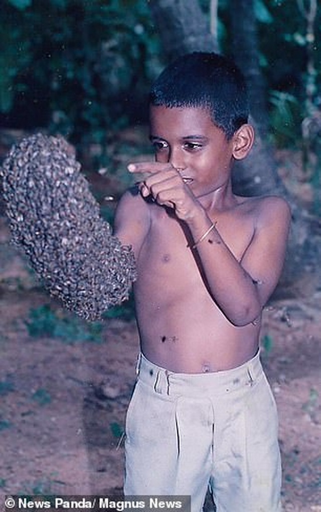 Chàng trai để 60.000 con ong bám kín mặt hơn 4 giờ, lập kỷ lục thế giới - 2