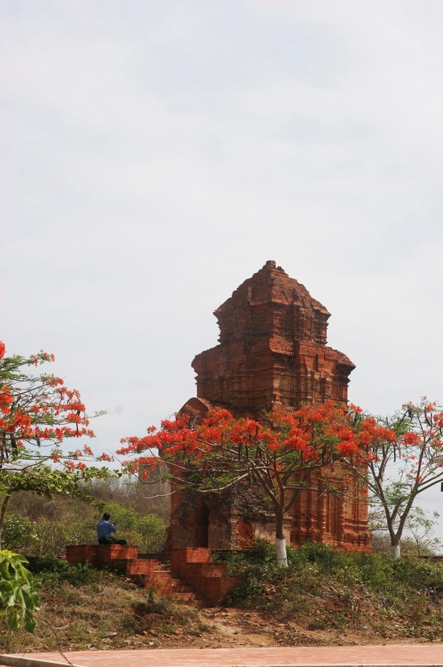 Khám phá văn hoá Chăm trên giải đất miền trung - 4 Khám phá văn hoá Chăm trên giải đất miền trung - 4