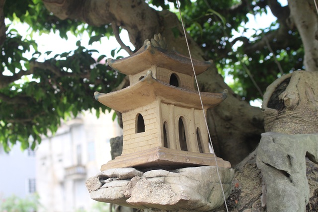 Đại gia chơi lớn, đích thân cõng 2 bao tải tiền mua sanh cổ 7 thân - 10 Đại gia chơi lớn, đích thân cõng 2 bao tải tiền mua sanh cổ 7 thân - 10