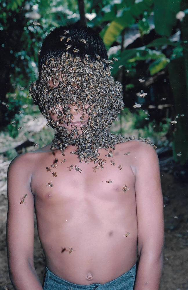 Kinh dị người đàn ông cho hàng nghìn con ong bu kín mặt - Ảnh minh hoạ 2