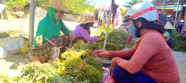 Mùa lá Mùng 5 ở xứ Quảng vào vụ - 7 Mùa lá Mùng 5 ở xứ Quảng vào vụ - 7