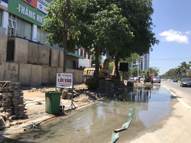 Hàng cây xanh bị cắt cụt ngọn trong những ngày nắng nóng đỉnh điểm - 1 Hàng cây xanh bị cắt cụt ngọn trong những ngày nắng nóng đỉnh điểm - 1