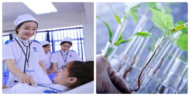 Phương pháp giáo dục tiên tiến Nhật Bản tại Hoàng Long - Hanoi Tokyo - 4 Phương pháp giáo dục tiên tiến Nhật Bản tại Hoàng Long - Hanoi Tokyo - 4