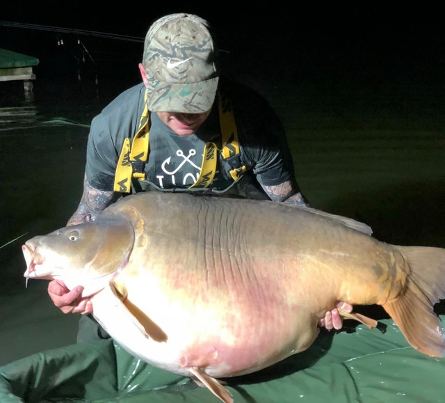 Bắt được cá khổng lồ thuộc họ cá chép nặng 51 kg - 2 Bắt được cá khổng lồ thuộc họ cá chép nặng 51 kg - 2