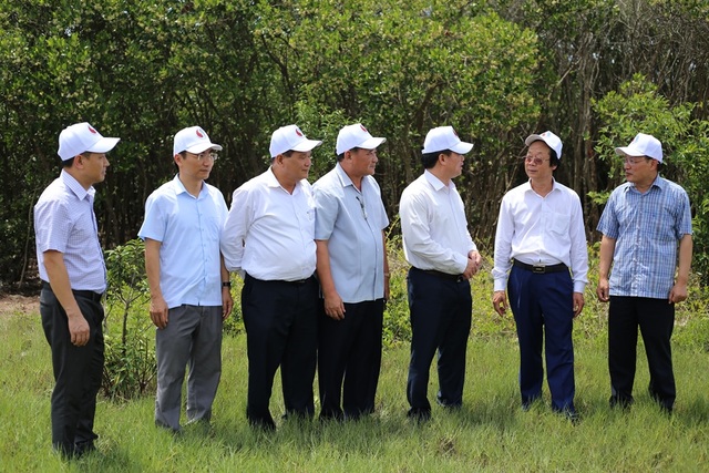 Khu bảo tồn có 1.000 loài động vật sống trong hệ sinh thái rừng ngập mặn - 1 Khu bảo tồn có 1.000 loài động vật sống trong hệ sinh thái rừng ngập mặn - 1