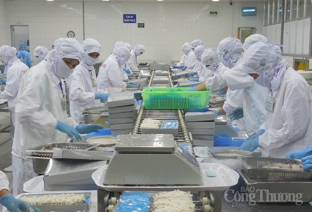 Đà Nẵng: Thị trường việc làm sau dịch Covid-19 sôi động trở lại - 1 Đà Nẵng: Thị trường việc làm sau dịch Covid-19 sôi động trở lại - 1