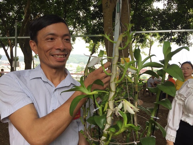 Chiêm ngưỡng những loài hoa hoa phong lan đẹp nhất Lào Cai - 10 Chiêm ngưỡng những loài hoa hoa phong lan đẹp nhất Lào Cai - 10