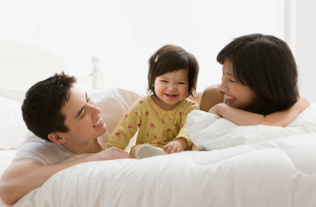 Hạnh phúc của chú heo con - 1 Hạnh phúc của chú heo con - 1