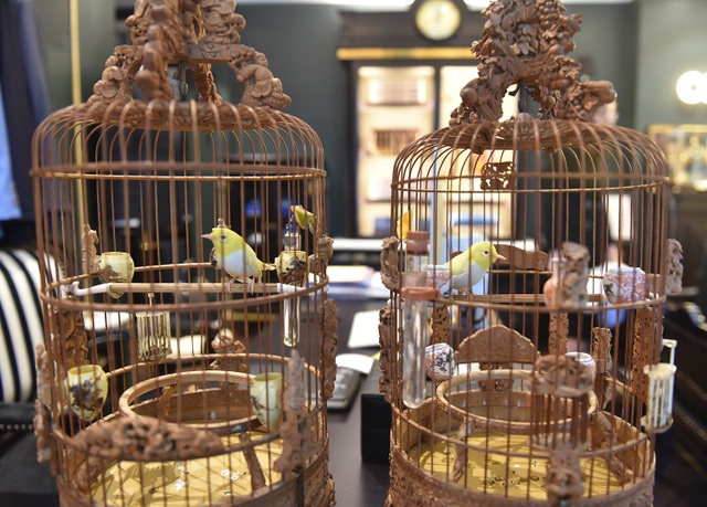 Chim vành khuyên đột biến gen: Tỷ phú Singapore mua không nổi