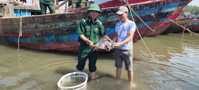 Giải cứu rùa biển kiệt sức vì mắc lưới - 1 Giải cứu rùa biển kiệt sức vì mắc lưới - 1