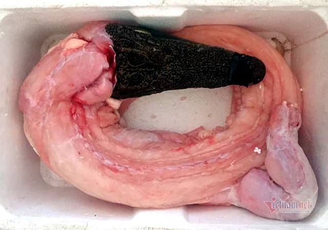 Cá sấu nguyên con rẻ như rau, nướng ăn liền ngày bán 2 tạ - 1