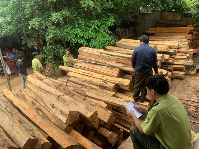 Kiểm tra kho gỗ “khủng”, tạm giữ chủ doanh nghiệp - 1 Kiểm tra kho gỗ “khủng”, tạm giữ chủ doanh nghiệp - 1