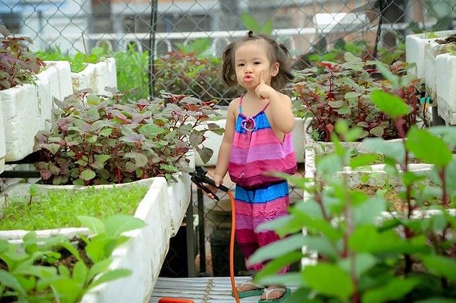 Bố mẹ Việt khoe “nông trại” sân thượng: Sáng hái rau, tối nhâm nhi cà phê - 14 Bố mẹ Việt khoe “nông trại” sân thượng: Sáng hái rau, tối nhâm nhi cà phê - 14