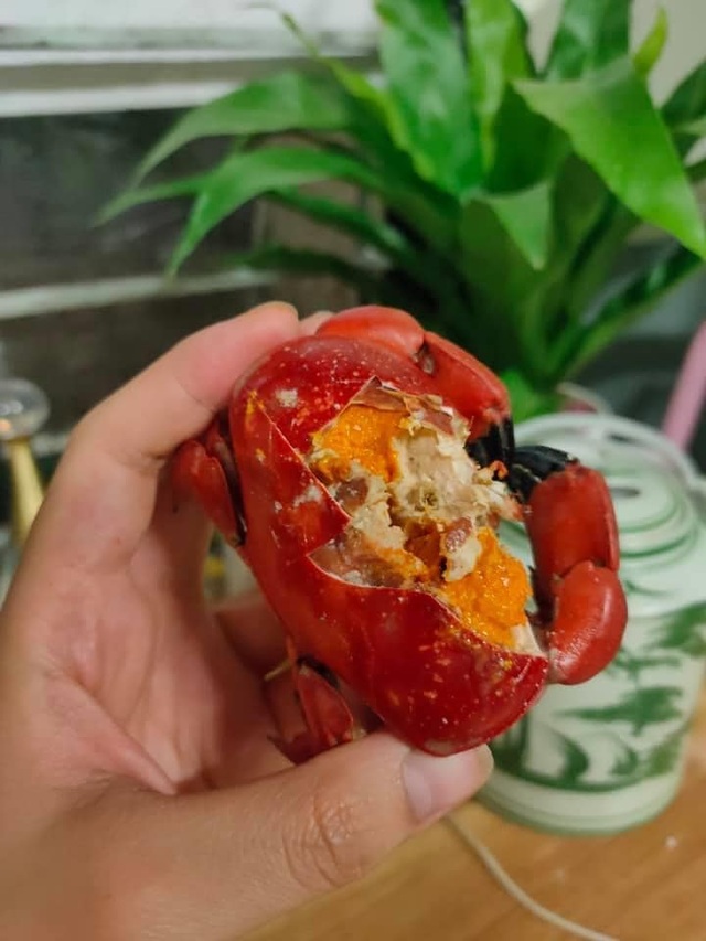 Ăn như cua hoàng đế, cả cân chưa được 1 lạng thịt chị em vẫn tranh mua - 3 Ăn như cua hoàng đế, cả cân chưa được 1 lạng thịt chị em vẫn tranh mua - 3
