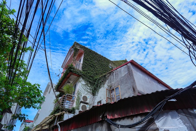 Sững sờ trước ngôi nhà phố được “ngụy trang” bằng dây leo ở Hà Nội - 3 Sững sờ trước ngôi nhà phố được “ngụy trang” bằng dây leo ở Hà Nội - 3