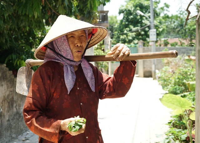 Cảm phục cụ bà gần 90 tuổi ra đồng thấy khỏe hơn ở nhà - 2 Cảm phục cụ bà gần 90 tuổi ra đồng thấy khỏe hơn ở nhà - 2