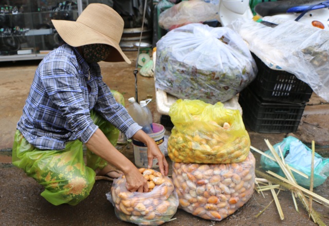 Đắk Nông: Kiếm nửa triệu đồng mỗi ngày nhờ mua thứ hạt ...bỏ đi - 2 Đắk Nông: Kiếm nửa triệu đồng mỗi ngày nhờ mua thứ hạt ...bỏ đi - 2